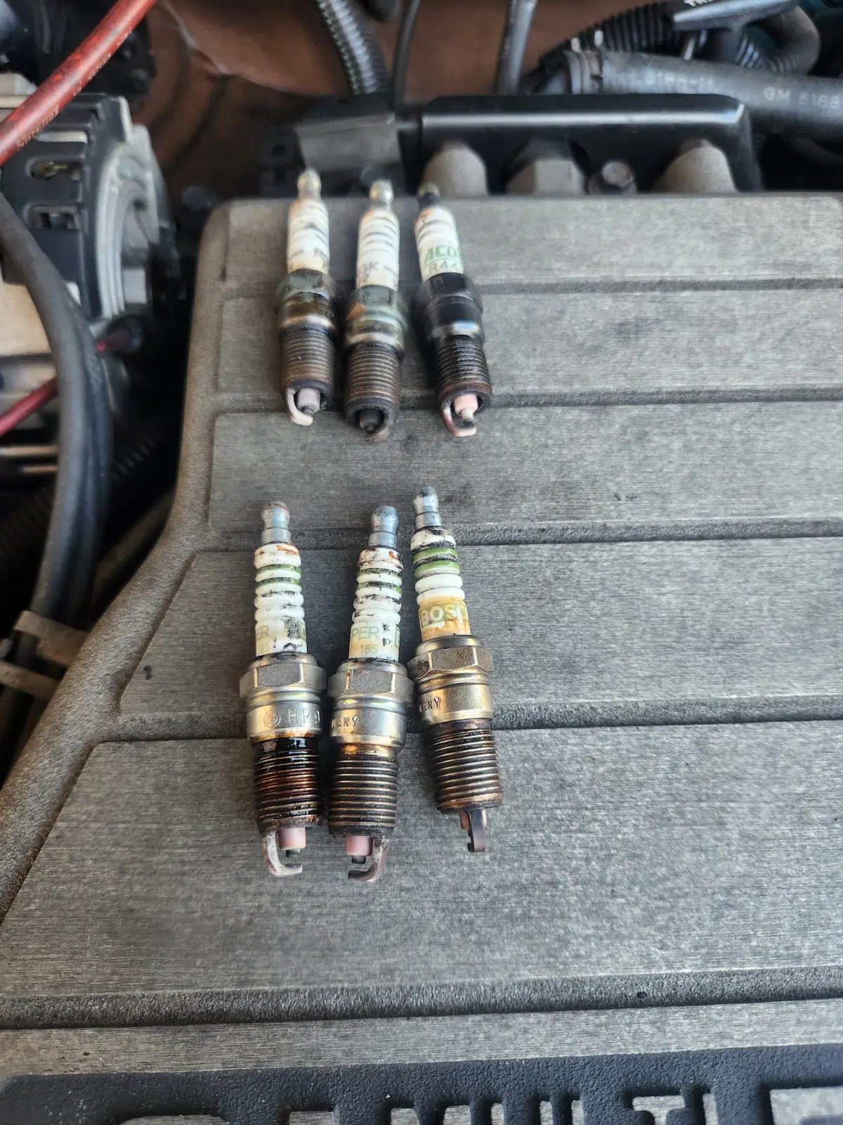 Six worn spark plugs laid out on an engine cover — Tri County Small Engine Repair in Cape Coral