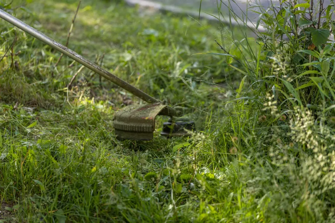 String Trimmer Repair from Tri County Small Engine Repair in Cape Coral